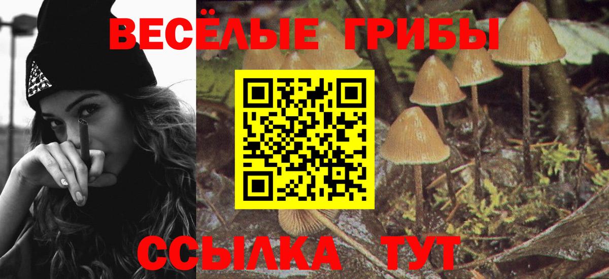 наркота  Галлюциногенные грибы MAGIC MUSHROOMS  Галлюциногенные грибы Psilocybe  Вход с VPN  Майский 
